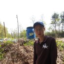 진섭농장 이미지