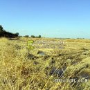 오정농장 이미지