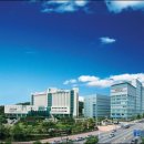 현대자동차 문형점 | 국립암센터와 서울대엔 왜 한의과가 없을까?