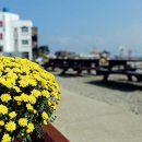 도로시펜션 이미지