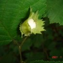 혹불이 영감 이미지