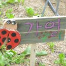 재주농장 이미지