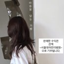 마음을 담는 가방 _ 산수화 티하우스 이미지