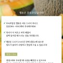 노을드림# 이미지