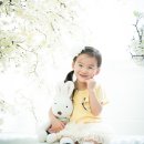엘가스튜디오 이미지