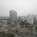 인사혁신처앞BRT 이미지