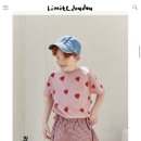 뉴발란스KDY