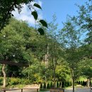 하늘바라기캠핑장 이미지