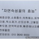 세영자동차정비 이미지