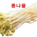 콩나물 이미지