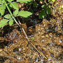 양지바른공인중개사사무소 이미지