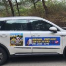동탄선불폰