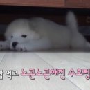 지꺼진식당 이미지