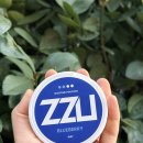 쭈스타일 | 금연 고민 중이라면? 니코틴 파우치 쭈(ZZU) 후기