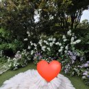 대웅장 | 스튜디오10. 스투디오 사이 컨셉7 야외 정원 브라운 예복+캉캉 드레스