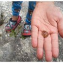 산수벨리펜션 이미지