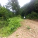 원우농장 이미지