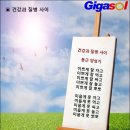 기가솔