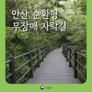 순환형1 이미지