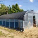 버스정류장(17399) 이미지