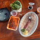 신라회센타