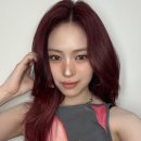 레드스타일 이미지