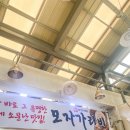 모자가리비 이미지