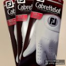 A-Top골프 | 풋조이 카브레타소프 골프장갑 후기 분석 - 최저가 비교 및 단점 총정리