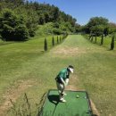 골프투어 | ⛳ 바다를 품은 보성 득량 파크골프장 &amp; 🌹 곡성 장미축제｜원정파크골프 참재미투어 후기