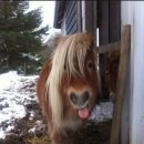 나드리상회 | 사랑은 봄비처럼…이별은 겨울비처럼