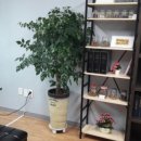 정담은한약국 이미지