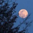 고향생각 이미지