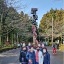제주도민 양기사