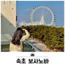 속초 대관람차 오션뷰 카페 보사노바 주차장 애견동반 갈만한곳