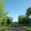 행복나무아동교육상담센터