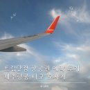알리미닷컴 | 트립닷컴 항공권 후기 인천> 오사카 실제 예약해본 후기 꿀팁(가격·쿠폰·취소 정리)