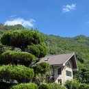 펜션12 | 양산 배내골 독채 펜션 배내별장 15인 찐 후기 | 12개월, 34개월 아기랑 계곡 & 수영장