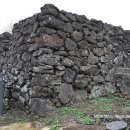 천미연대 이미지