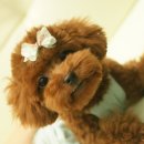 피앤피메디칼 이미지