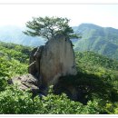 외솔목장 이미지