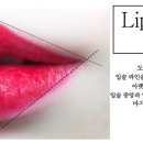 트루라인 이미지