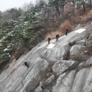 전북특별자치도 소방본부 119특수대응단