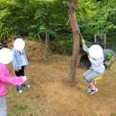 동산자연유치원 이미지