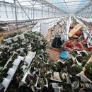 호우농장 이미지