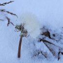 여수공원로 이미지