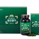 엽록소㈜ 이미지