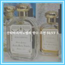 비터로브 | 산타마리아노벨라 향수 종류 추천 BEST 3!