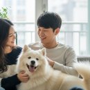 애니펫 | 삼성화재 펫보험 &#39;애니펫&#39; 장단점 및 실제 후기 분석 (위풍댕댕/의기냥냥)