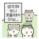 영앤로또 이미지