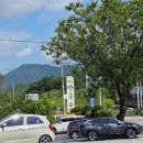 생곡 | 홍천 막국수 맛집 어디갈까? 원조 생곡막국수 본점 방문 후기